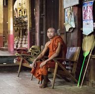 Monk in the temple of cats