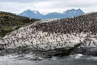 The coast of Ushuaia