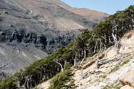 Trekking Torres Del Paine