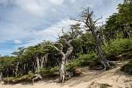 Trekking Torres Del Paine