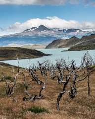 Парка Torres Del Paine