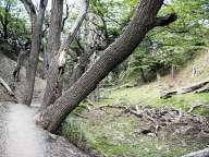 Trekking Fitz Roy