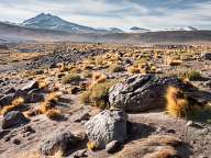 Landscapes from Atacama