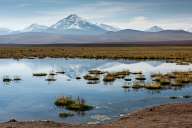 Landscapes from Atacama