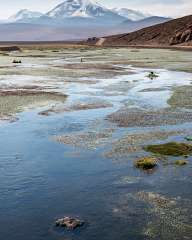 Landscapes from Atacama