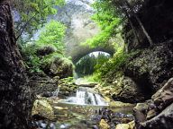 Wonderful Bridges