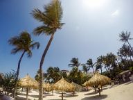 Coast of Aruba