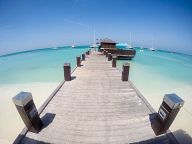 Coast of Aruba