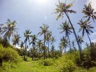 Around the island Gili Meno