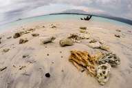 Beach of Gili Meno