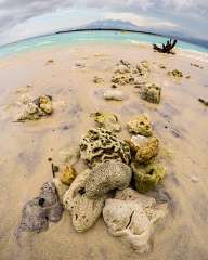 Beach of Gili Meno