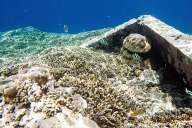 Reefs of Gili Meno