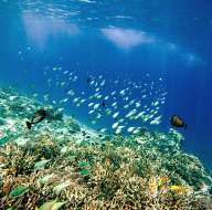 Reefs of Gili Meno