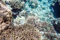 Reefs of Gili Meno