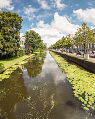 The streets of The Hague