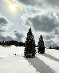 Winter walk near Progled