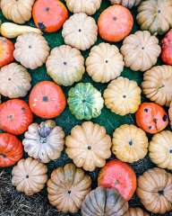 Halloween pumpkins