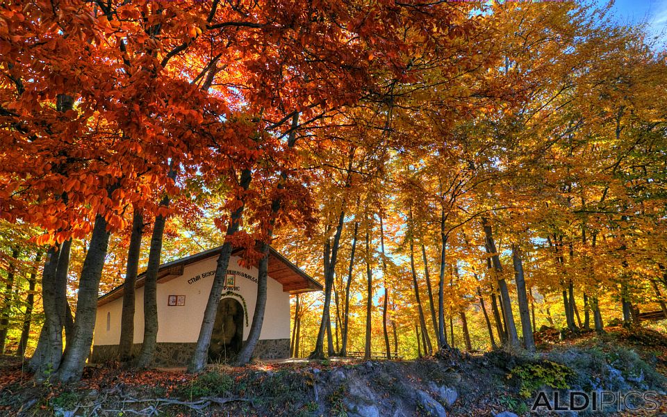 Autumn in Rhodopes near Rosovo village