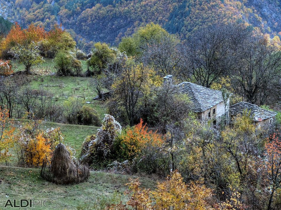 Old houses of the village near Ardino