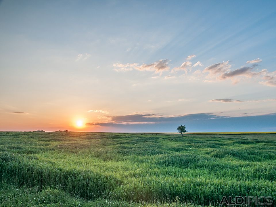 Sunset over the fields