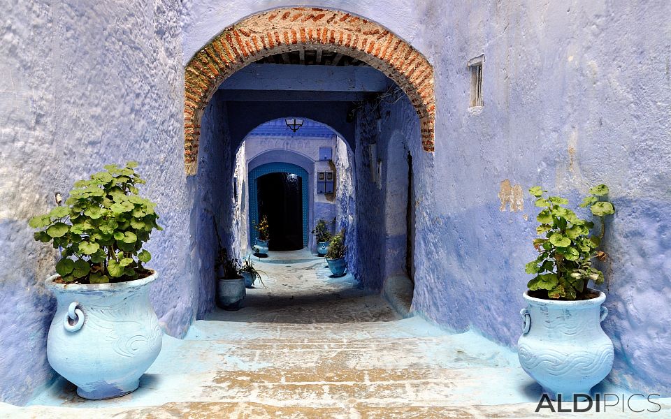 Somewhere in the medina of Chefchaouen