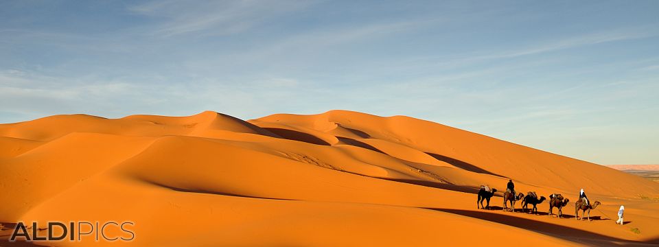 Sand dunes of the Sahara