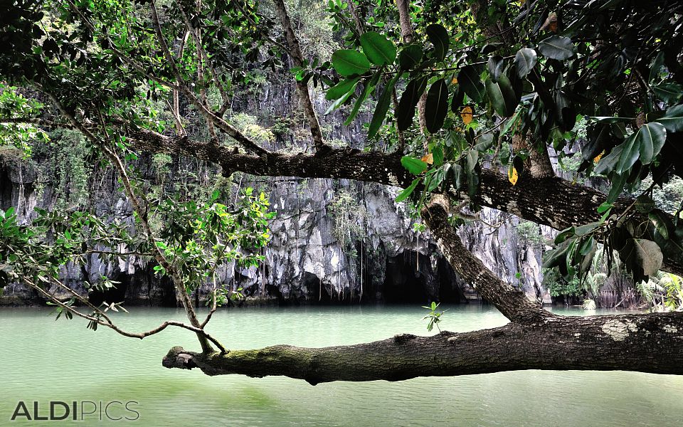 Underground river of Puerto Princesa