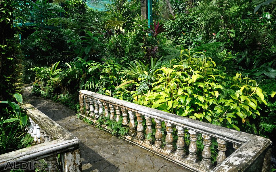 Butterfly Park Kuala Lumpur