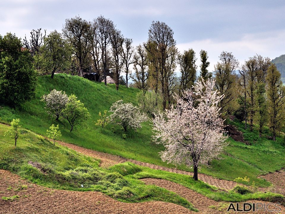 Villages in the Rhodopes