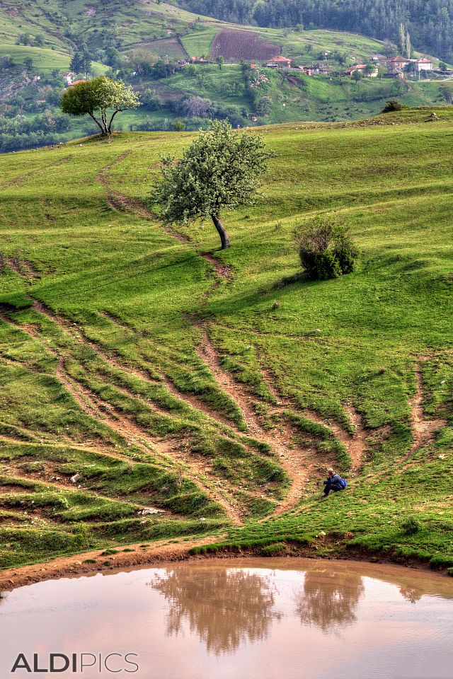 Fields near Kardzhali