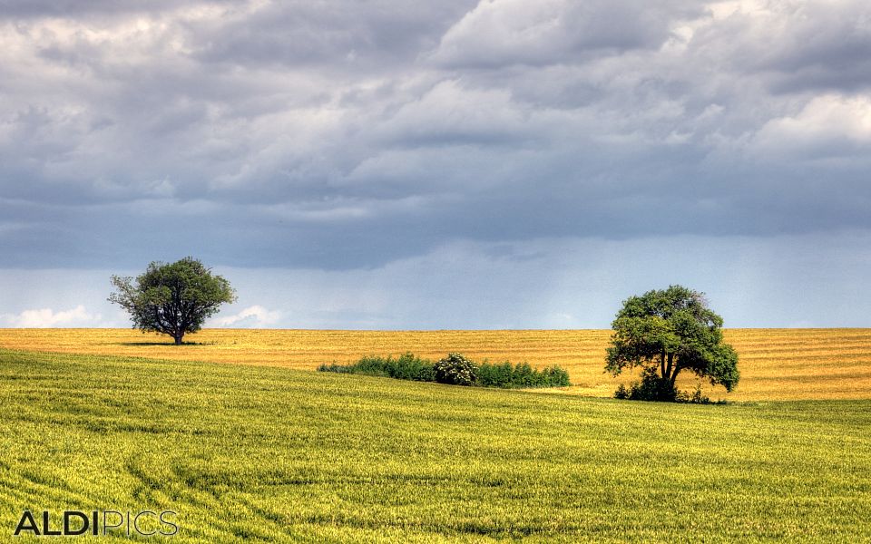 Fields near Stara Zagora