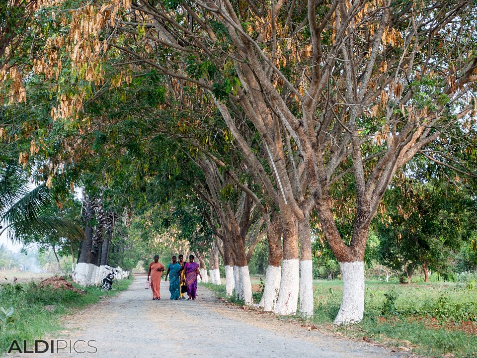 The road to the clinic