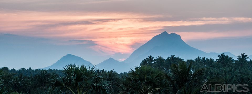 Sunset over the field