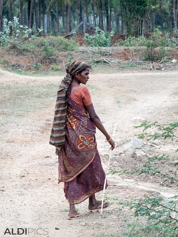 Shepherdess