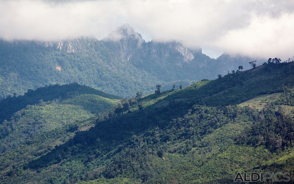 Landscapes near Mekong