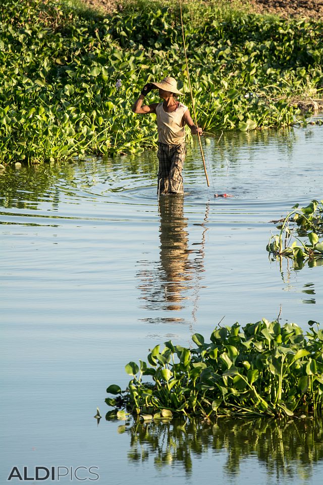 Taung Tha Man Lake