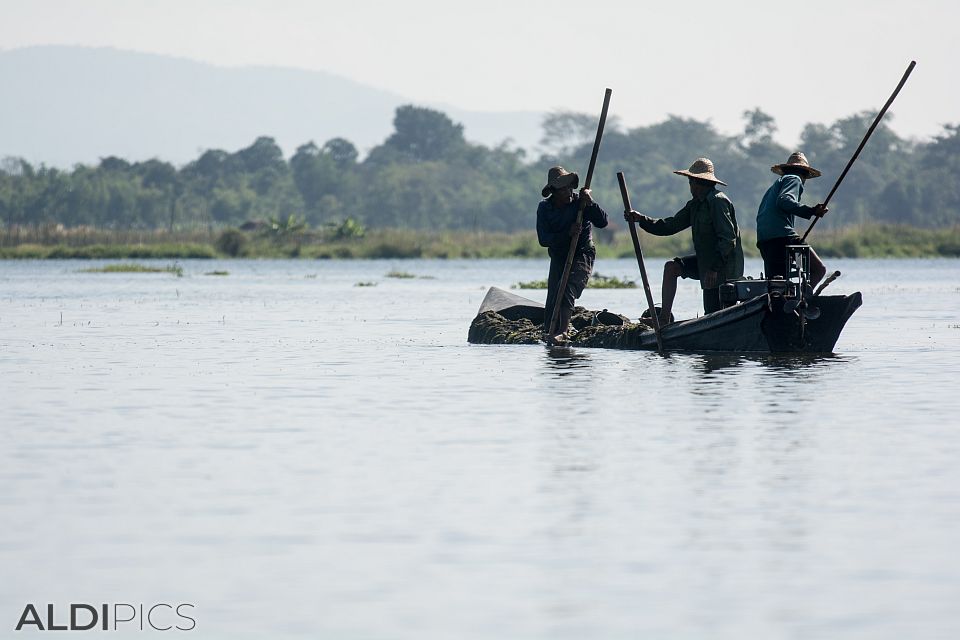 Inle Lake