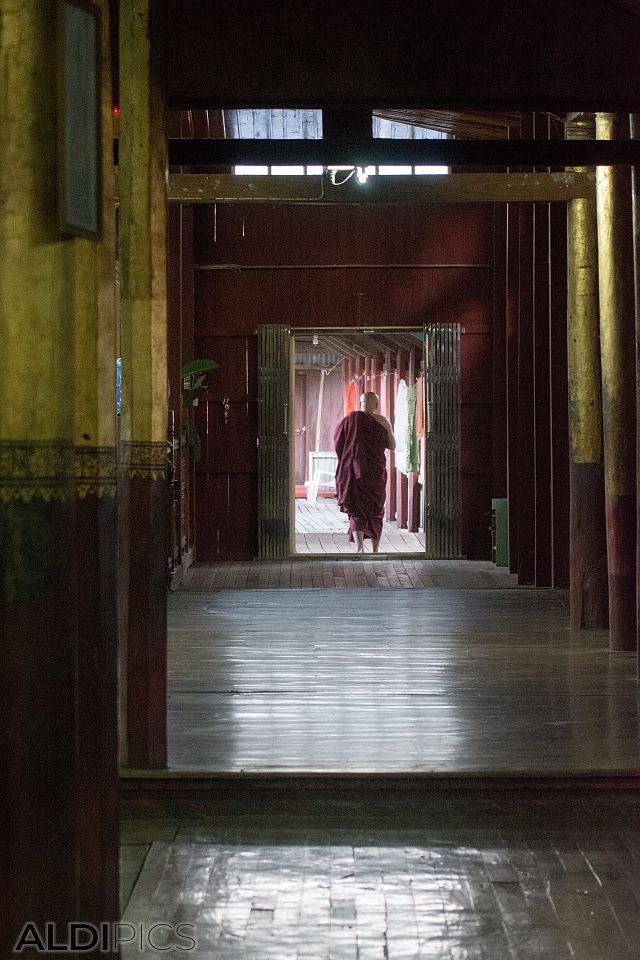 Монах в храма на котките