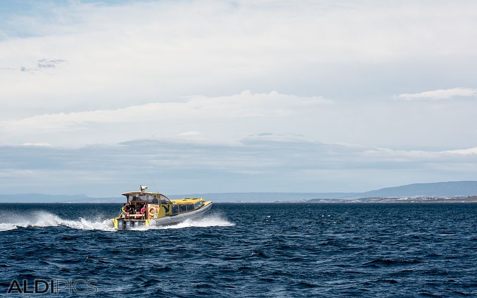 Near Magdalena island