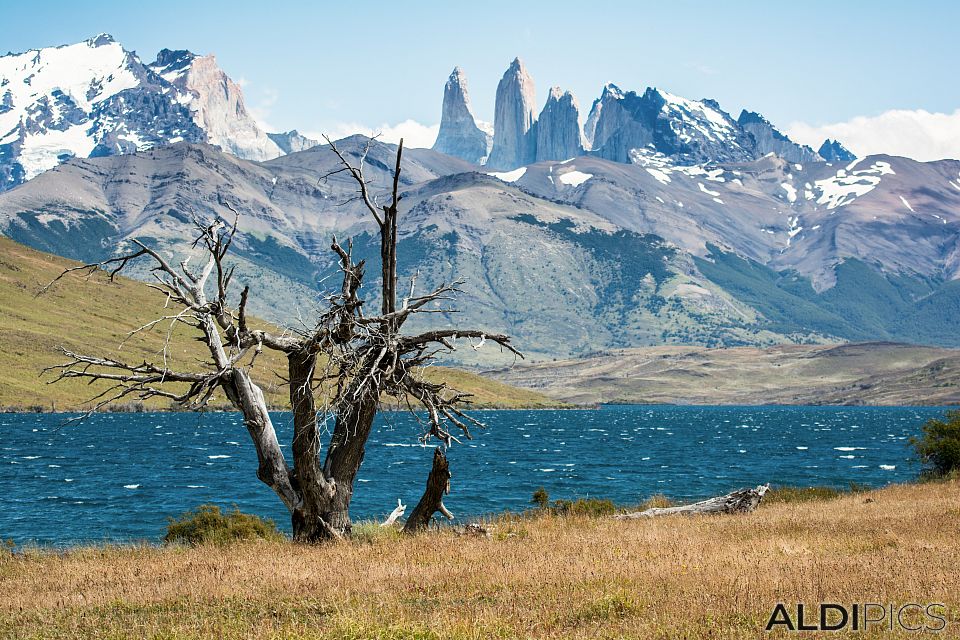 Парка Torres Del Paine