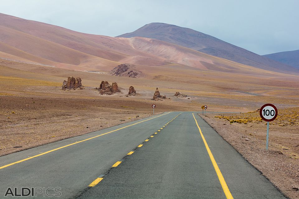 From the Andes to the Atacama