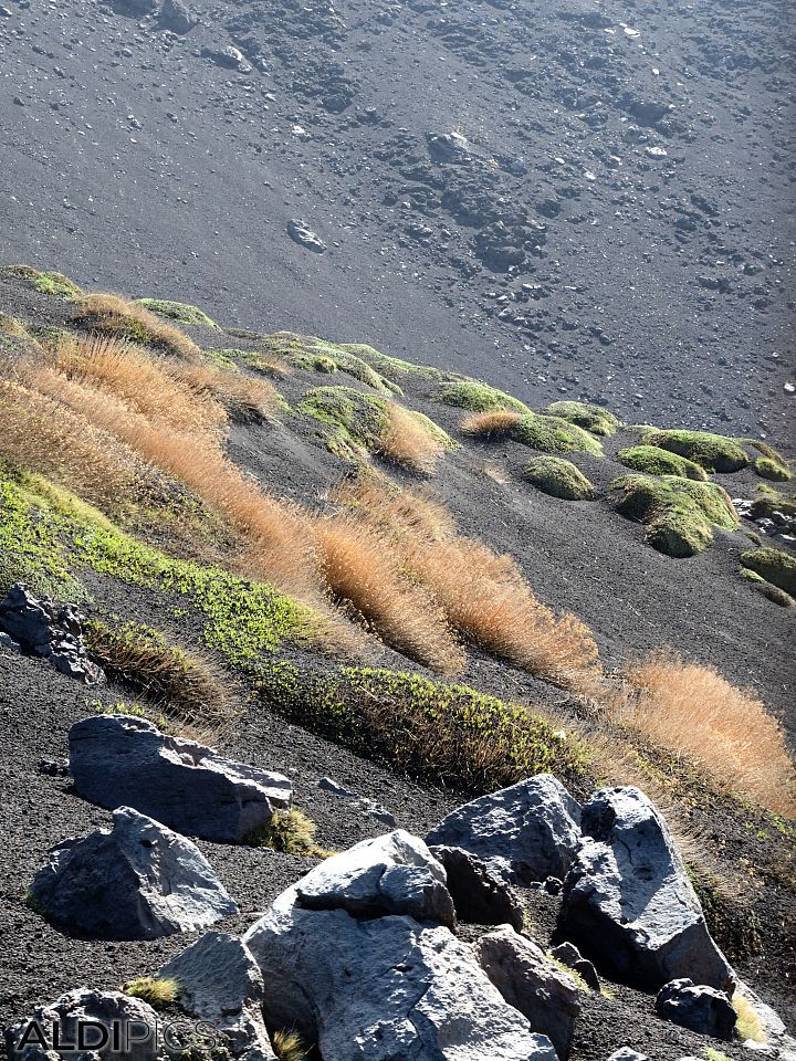 Ascent to Mount Etna