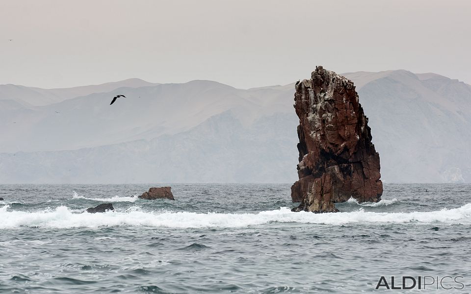 Coast of Peru