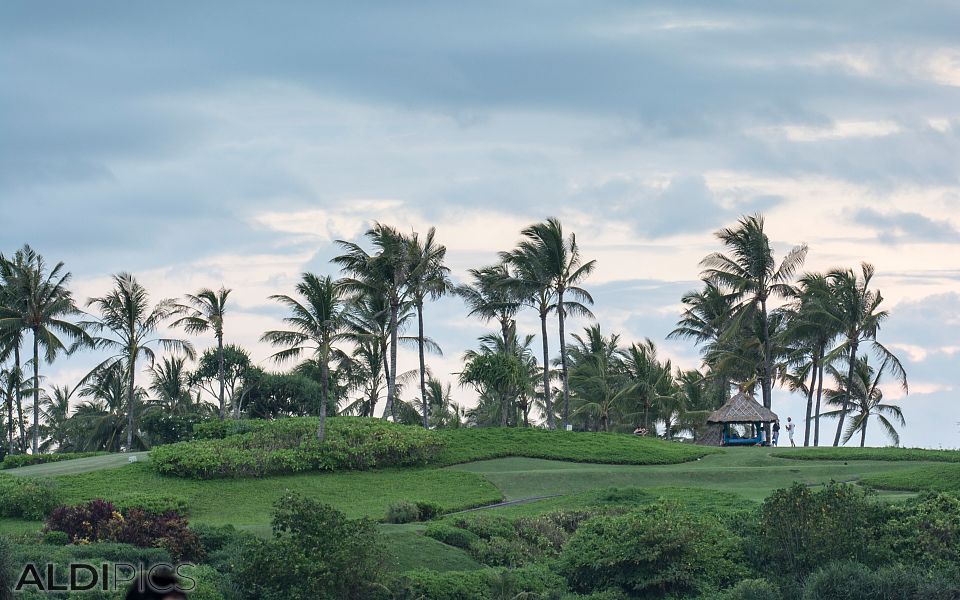 Landscape of Bali