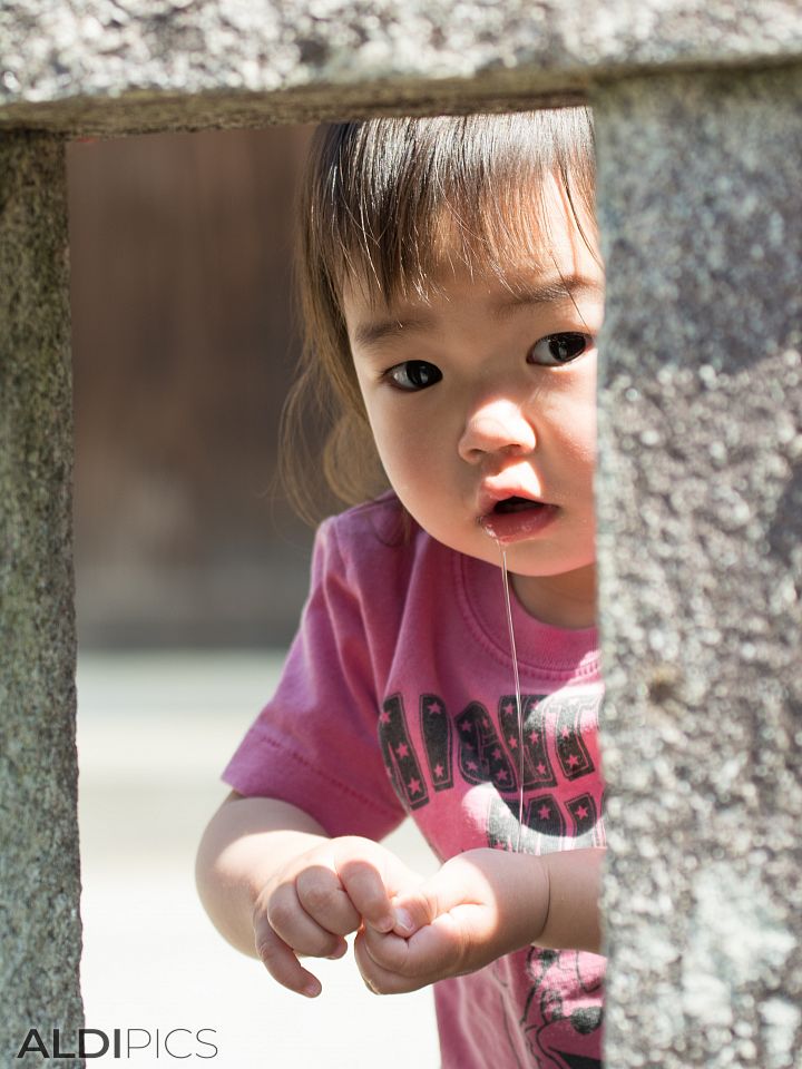 The streets of Nara