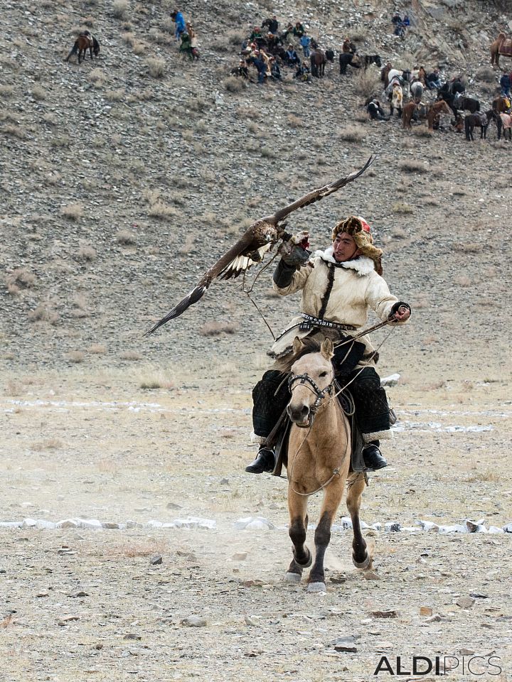 Golden Eagle Festival