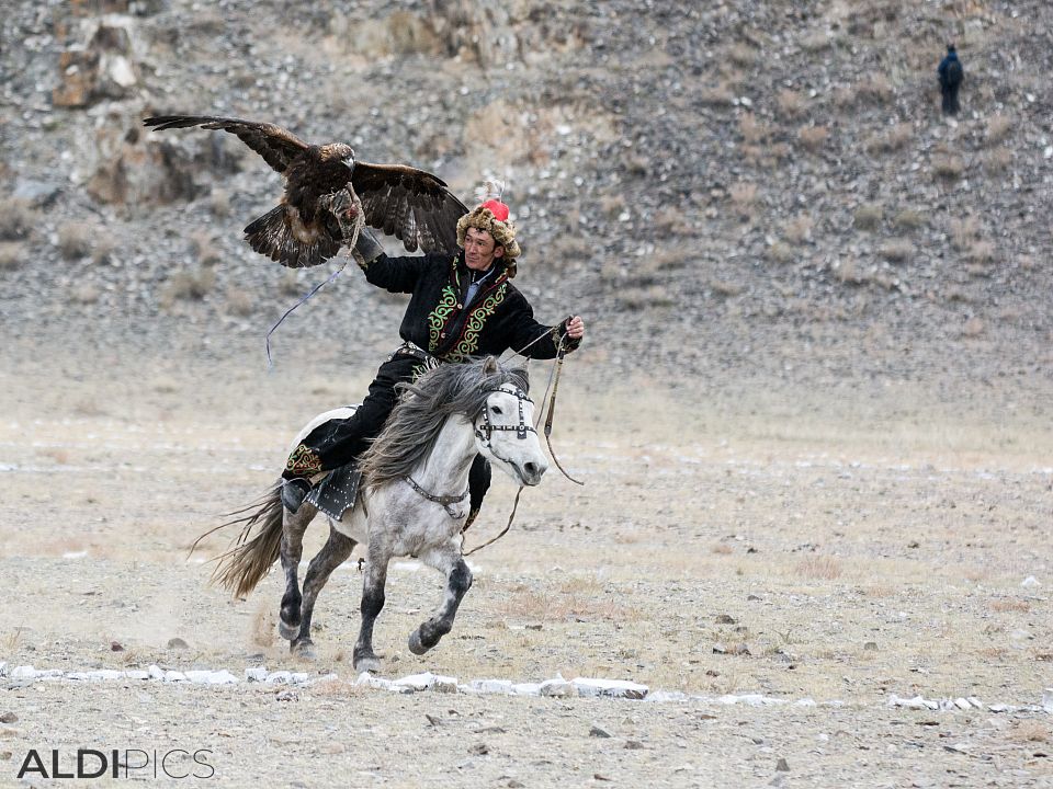 Golden Eagle Festival