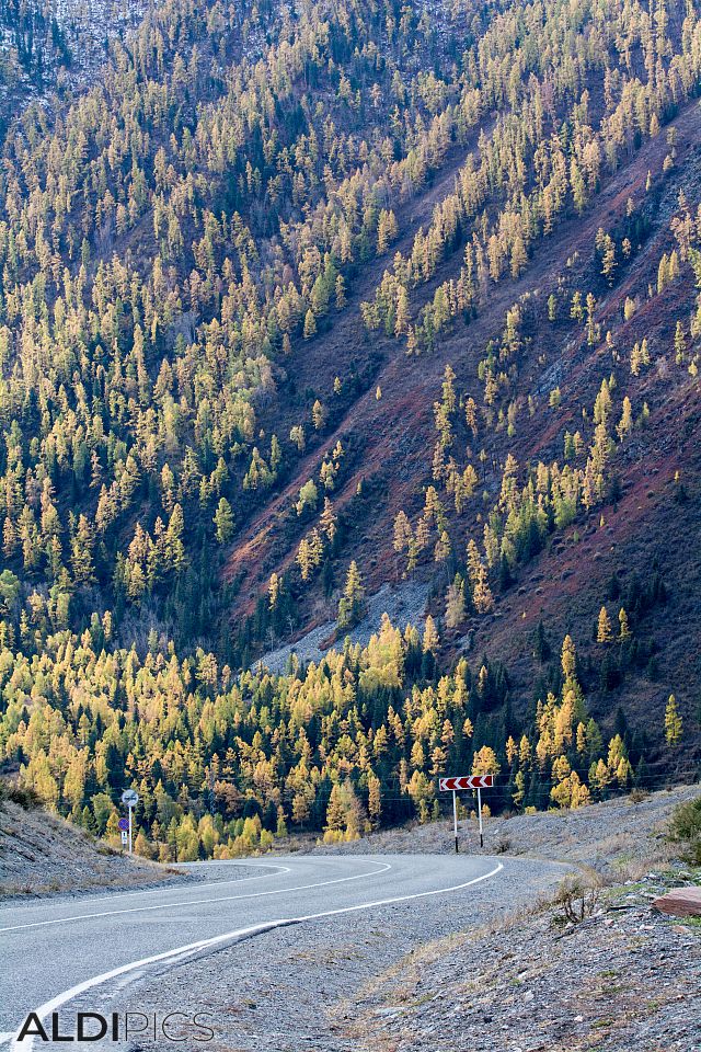 Есен в Алтай