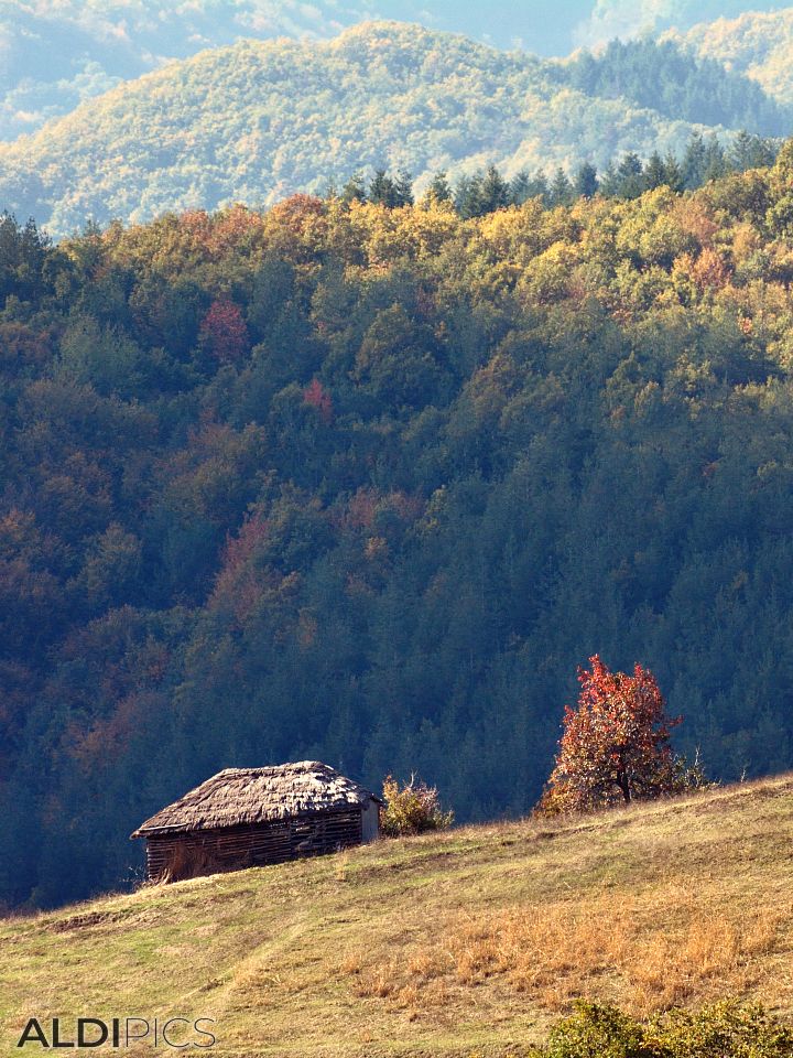 Landscapes near Zlatograd