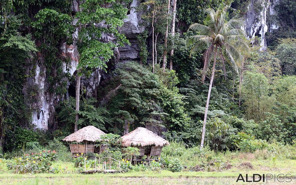 Somewhere on the island of Palawan